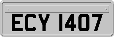 ECY1407