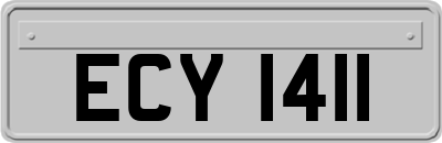 ECY1411