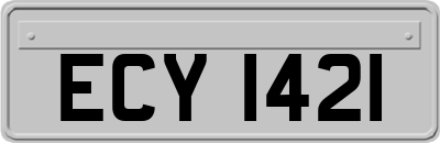 ECY1421