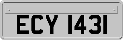 ECY1431