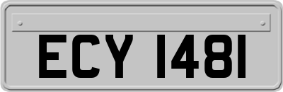 ECY1481