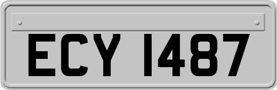 ECY1487