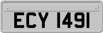 ECY1491