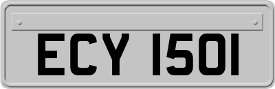 ECY1501