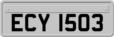 ECY1503