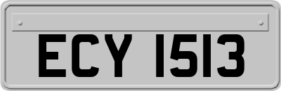 ECY1513