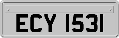 ECY1531