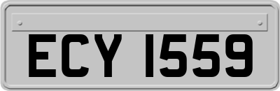 ECY1559