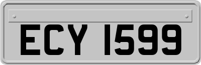 ECY1599
