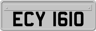 ECY1610