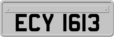 ECY1613