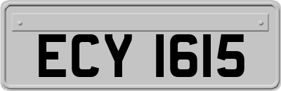 ECY1615