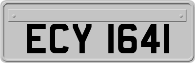 ECY1641