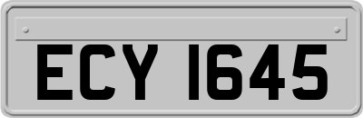 ECY1645