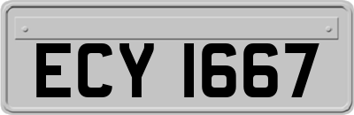 ECY1667