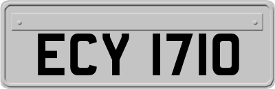 ECY1710