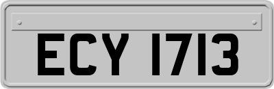 ECY1713