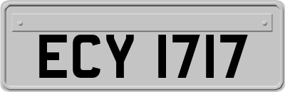 ECY1717