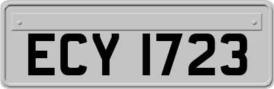 ECY1723