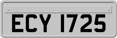 ECY1725