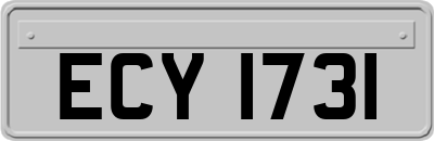 ECY1731