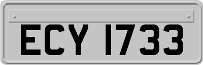 ECY1733