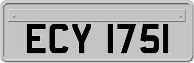 ECY1751