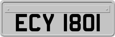 ECY1801