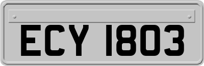 ECY1803