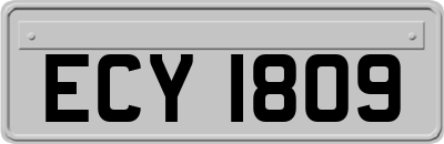 ECY1809