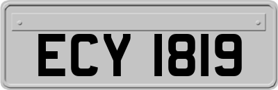 ECY1819
