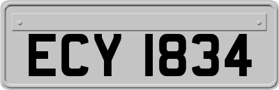 ECY1834