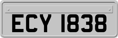 ECY1838