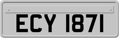 ECY1871