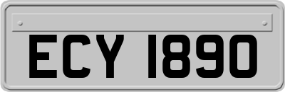 ECY1890