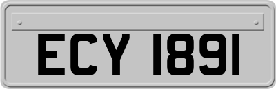 ECY1891