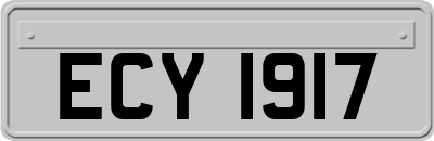 ECY1917