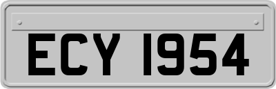 ECY1954