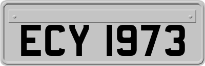 ECY1973