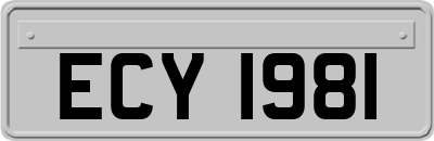 ECY1981