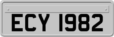 ECY1982