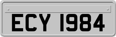 ECY1984