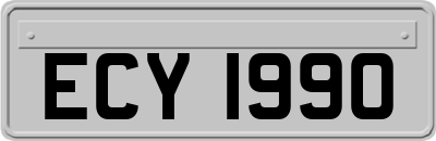 ECY1990