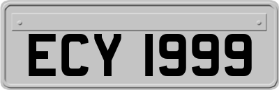 ECY1999