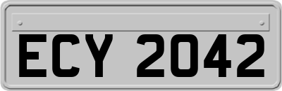 ECY2042