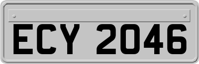 ECY2046