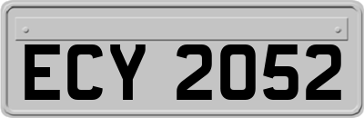 ECY2052