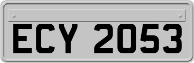 ECY2053