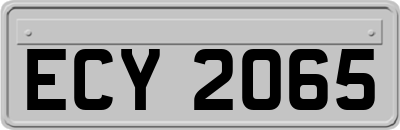 ECY2065