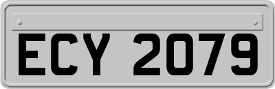 ECY2079
